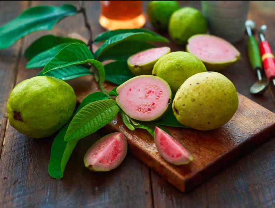Guava Gallery 1