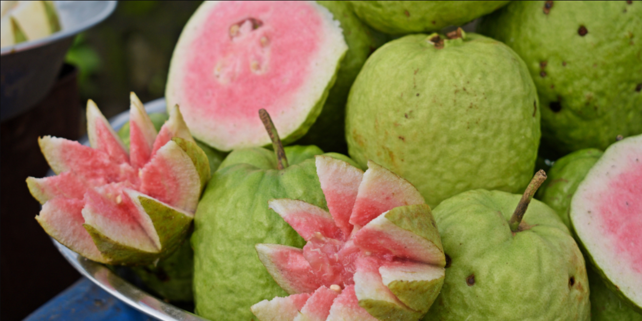 Guava Gallery 2