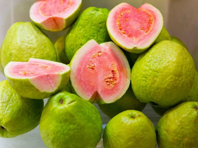 Guava Gallery 4
